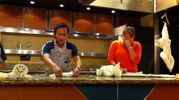 Towel Animal Demonstration