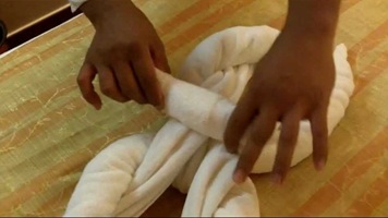 Towel Animal Demonstration