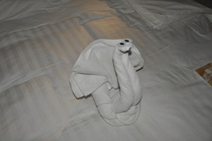 Towel Animals