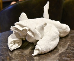 Towel Animals